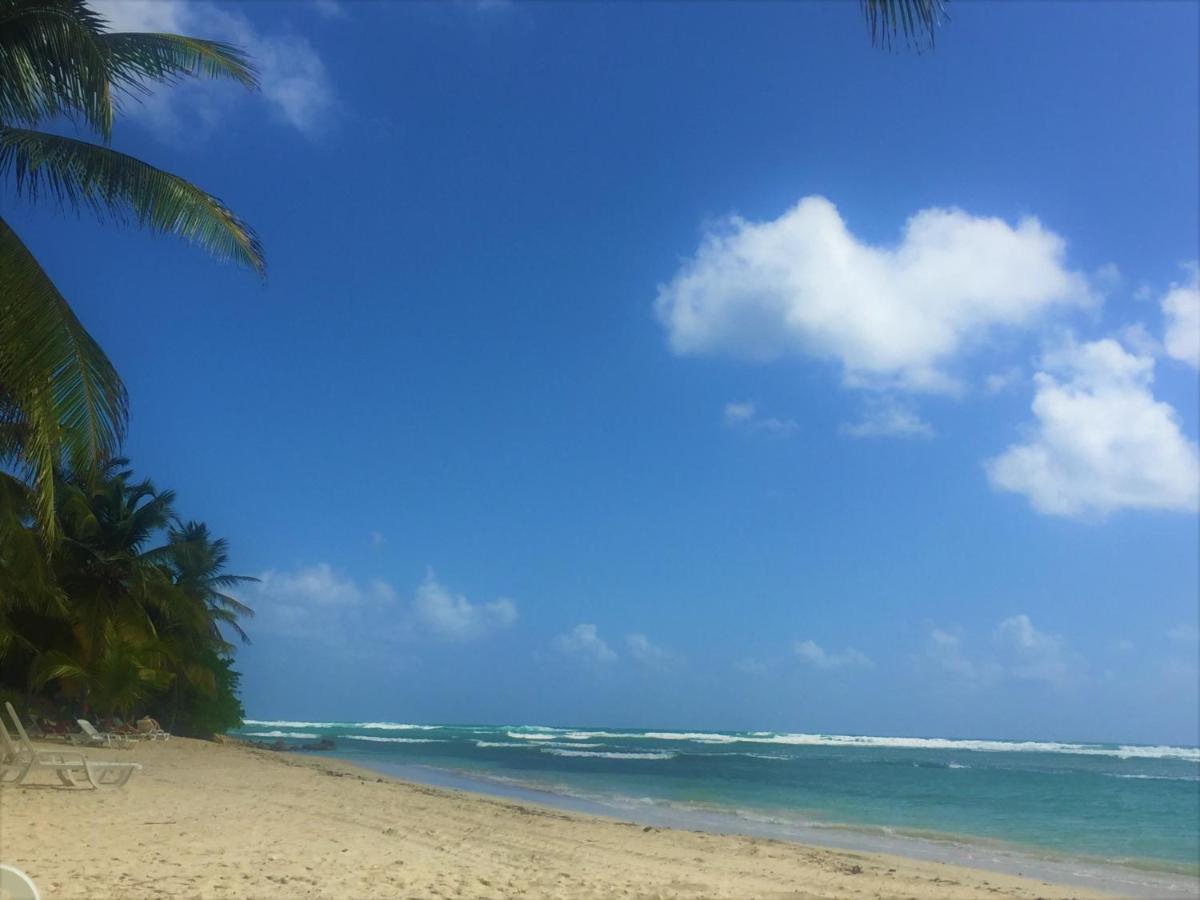 Carambole Vue - Piscines - Plages - Pierre Et Sainte-Anne (Grande-Terre)