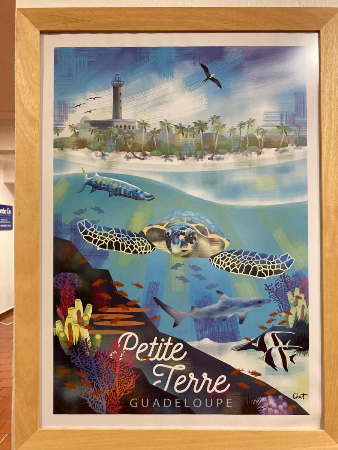 Carambole Vue - Piscines - Plages - Pierre Et Sainte-Anne (Grande-Terre)