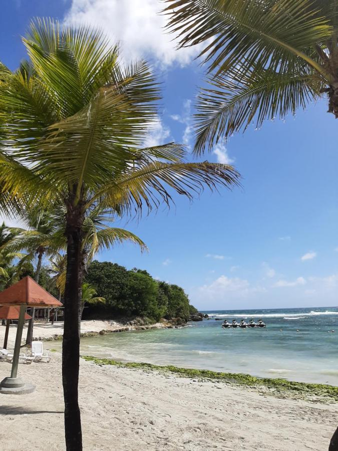 Carambole Vue - Piscines - Plages - Village Anne Guadeloupe * Sainte-Anne (Grande-Terre)