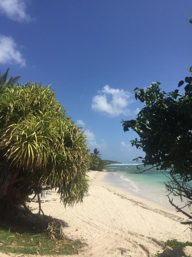 Carambole Vue - Piscines - Plages - Village Anne Guadeloupe *