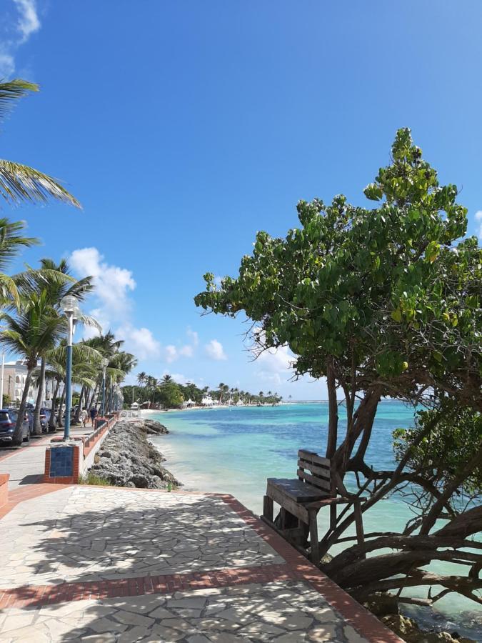 Carambole Vue - Piscines - Plages - Village Anne Guadeloupe *