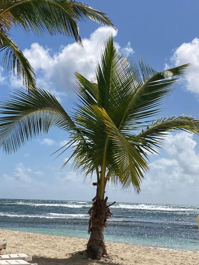 Carambole Vue - Piscines - Plages - Village Anne Guadeloupe *